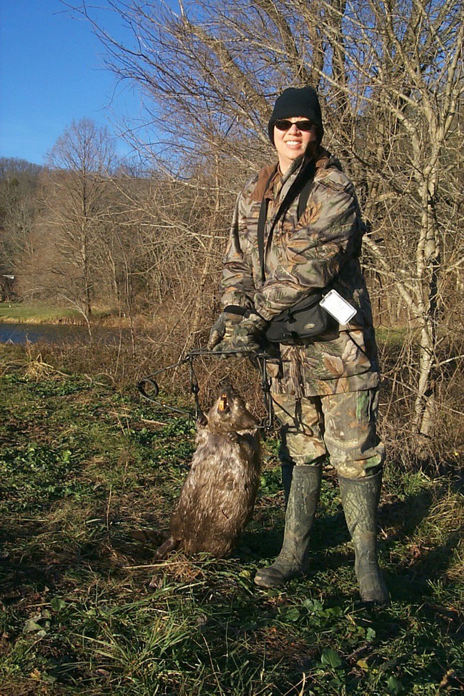 missouri beaver photo