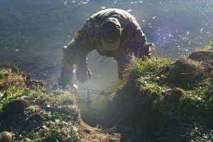 setting a beaver trap