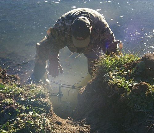 setting a beaver trap