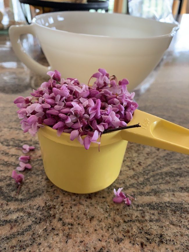 cup of redbud blossoms
