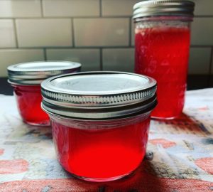 redbud jelly in jars