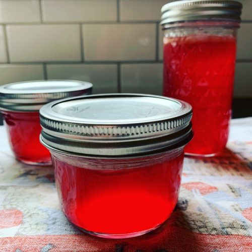 redbud jelly in jars