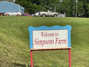 Simpsons Family Farm in Mountain Grove: A Berry Good Life