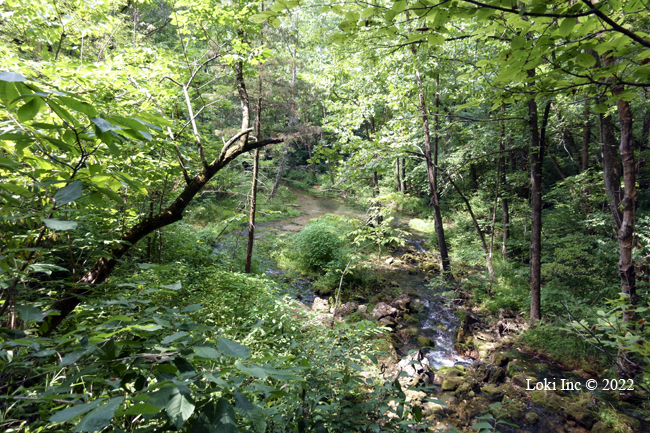 Turner Spring downstream view