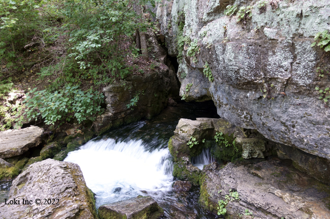 Turner Spring outflow