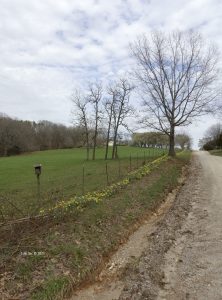 View of Missouri country road in spring