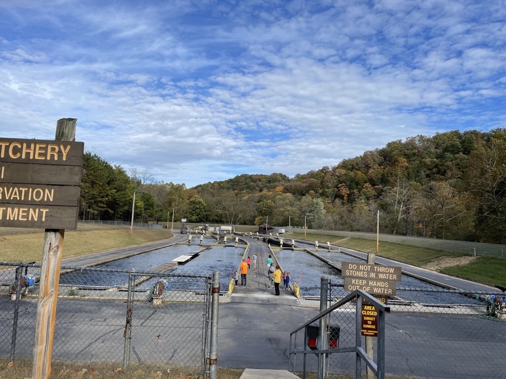 fish hatchery Montauk