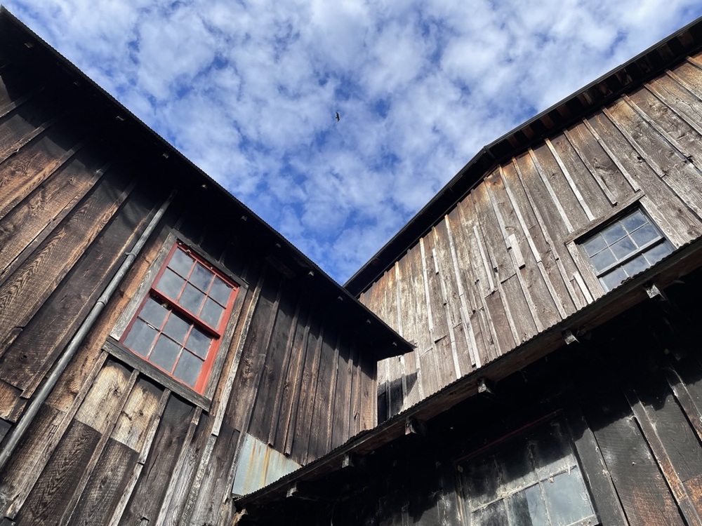 old siding on Montauk