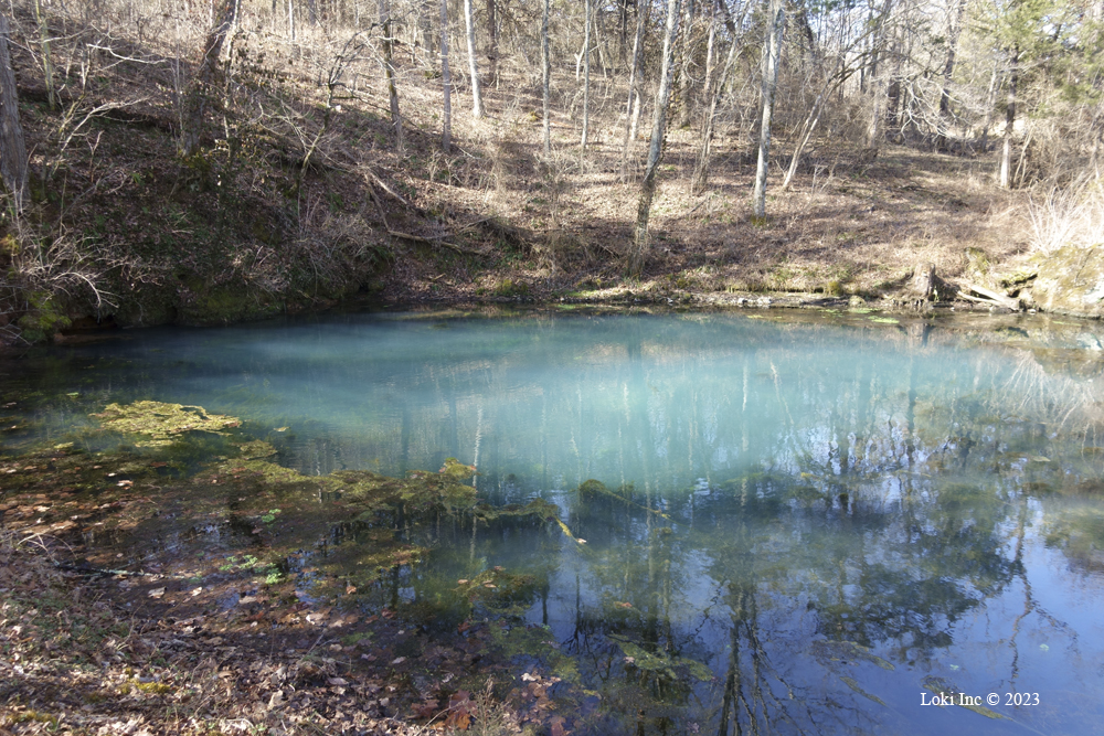 Reed spring blue water