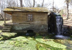 old mill house reed spring