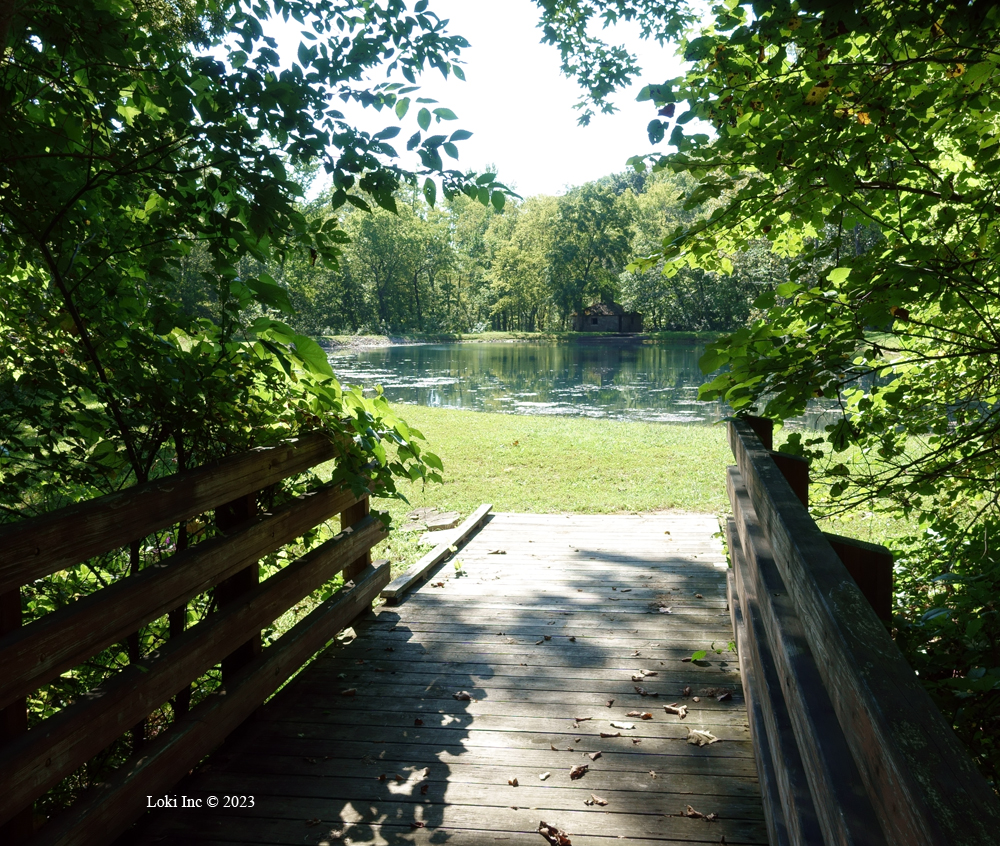 Markham Springs mill pond from footbridge