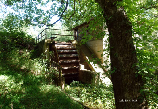 A Visit to Markham Springs Mill