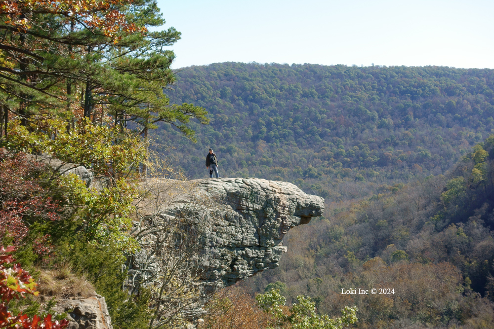 Barb on Hawksbill Crag