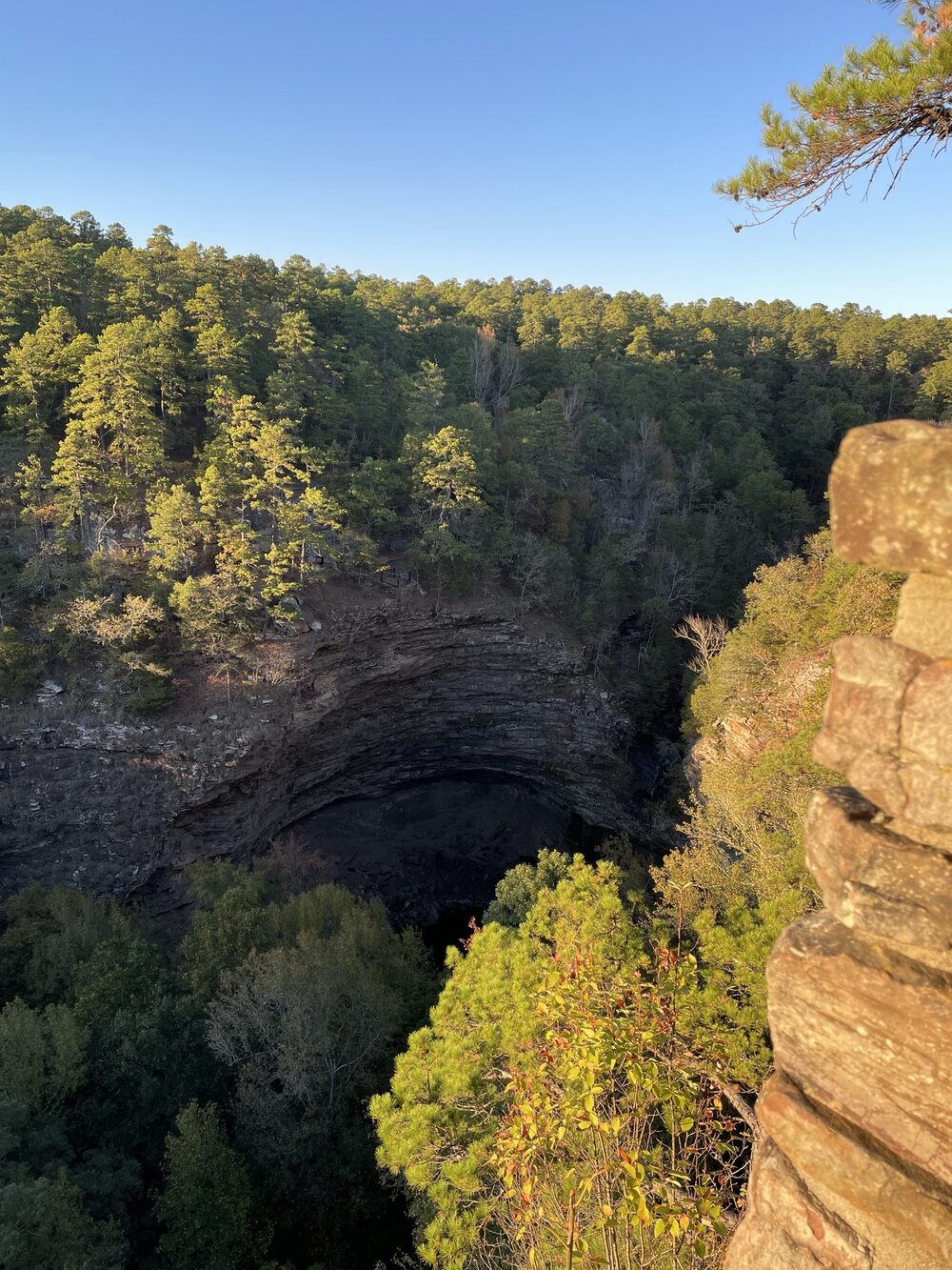 Pettrigrew state park bluffs