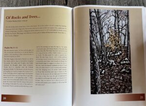 Of rocks and trees visual voice Gilley art