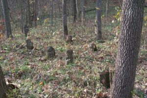 Humanoids in cemetery in MO