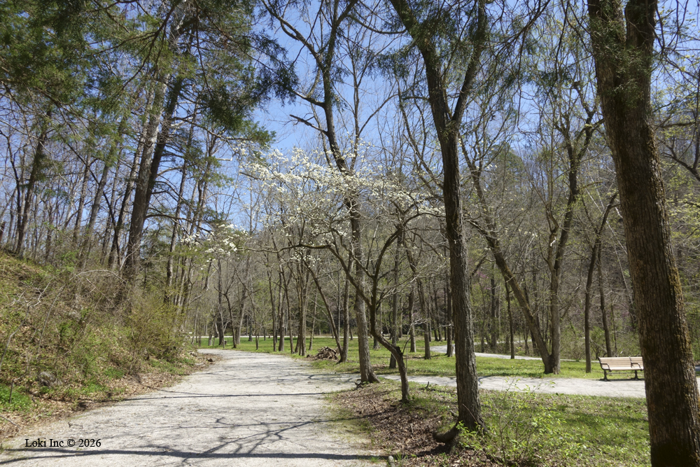 Van Winkle park area