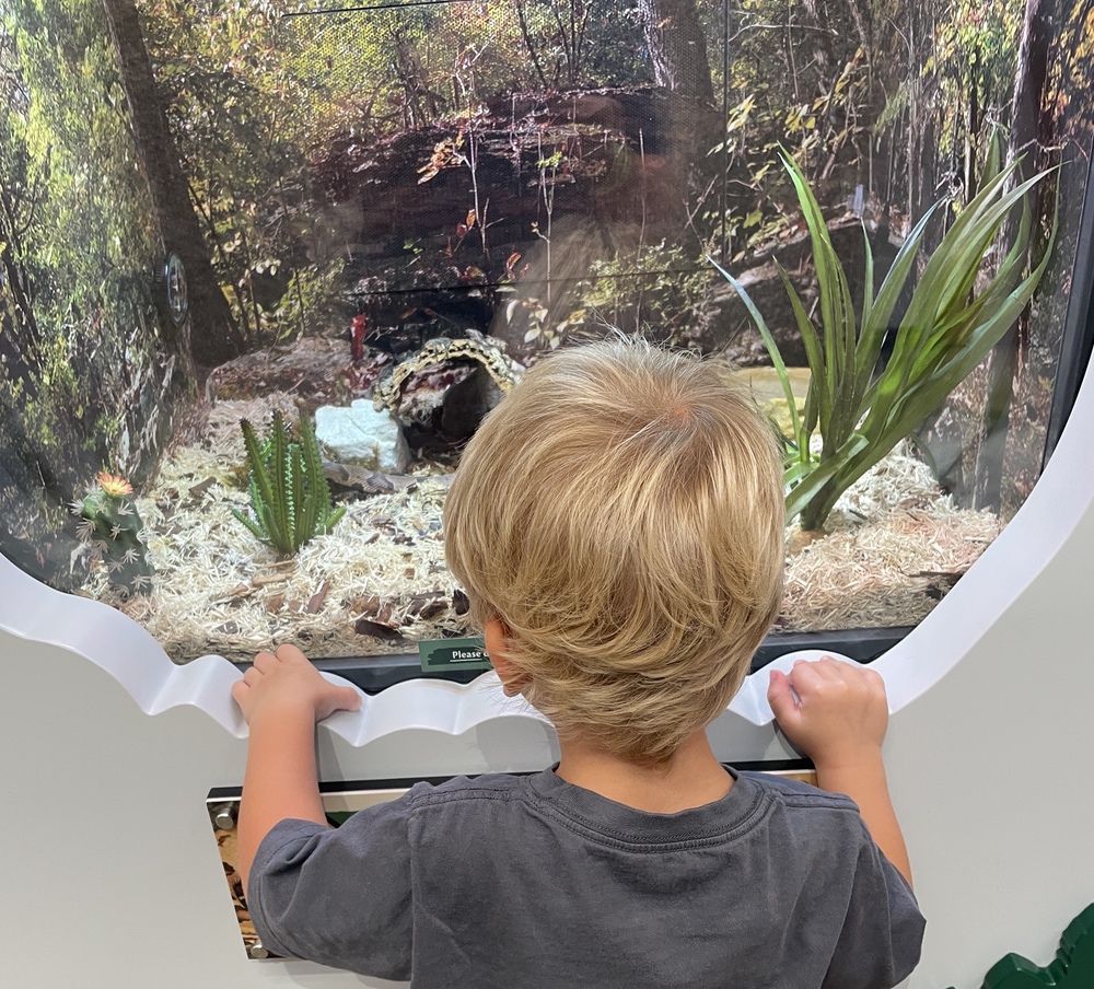 child at Shepherd of the Hills Conservation Education Center